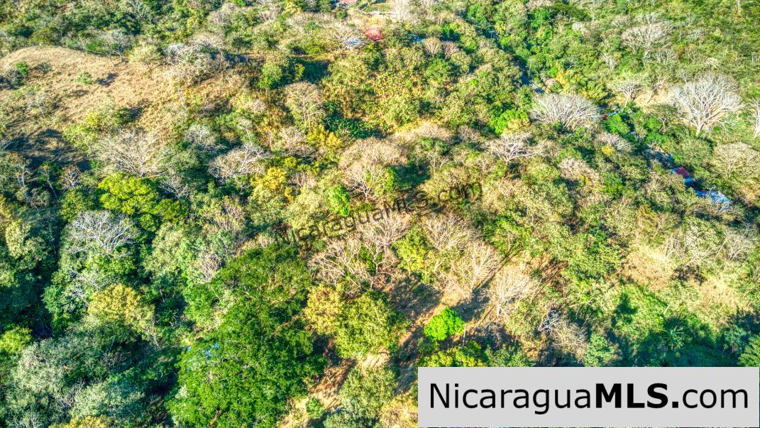 1.75 acres Nestled in Nature - Financing Available! - Image 18