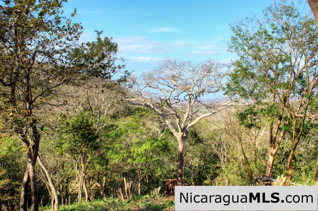 1.75 acres Nestled in Nature - Financing Available! - Image 4