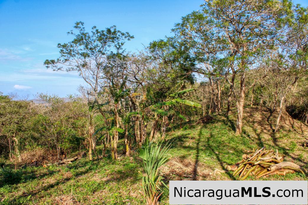 1.75 acres Nestled in Nature - Financing Available! - Image 5