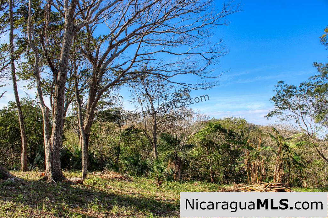 Mountain to Beach Half acre View La Cuesta SJDS - Image 6