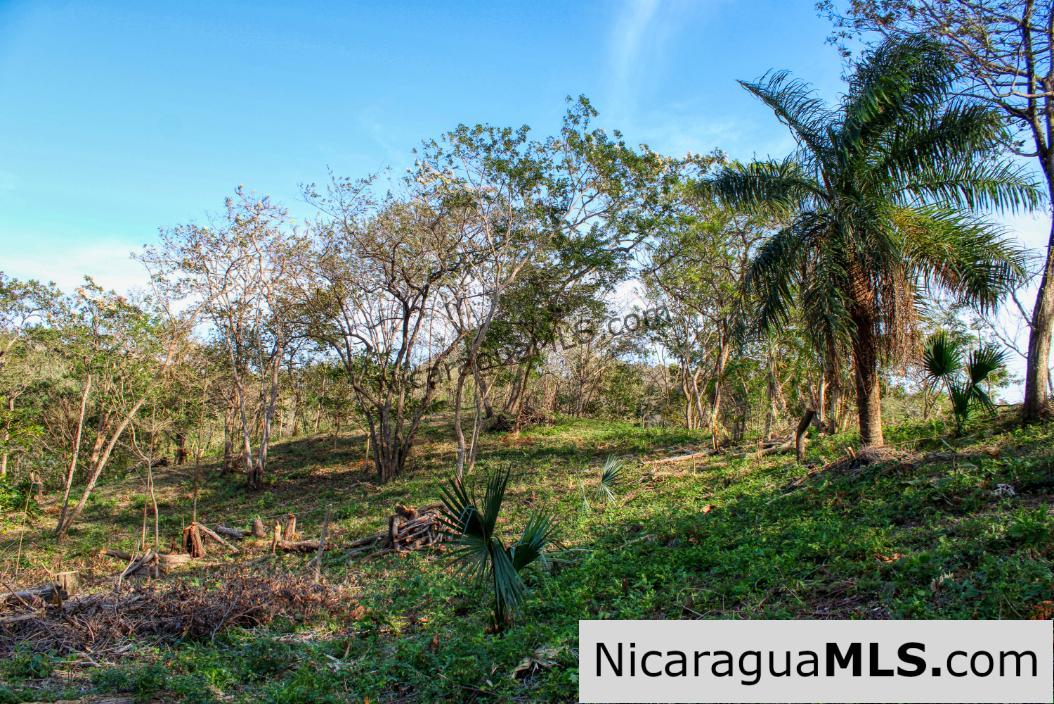 Mountain to Beach Half acre View La Cuesta SJDS - Image 8