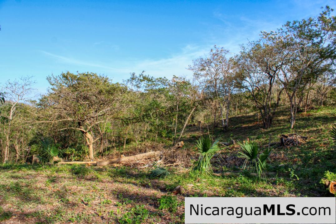 Mountain to Beach Half acre View La Cuesta SJDS - Image 9