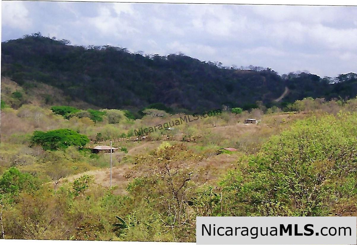 El Encanto Lot A1 for Sale Near TreeCasa - Image 6