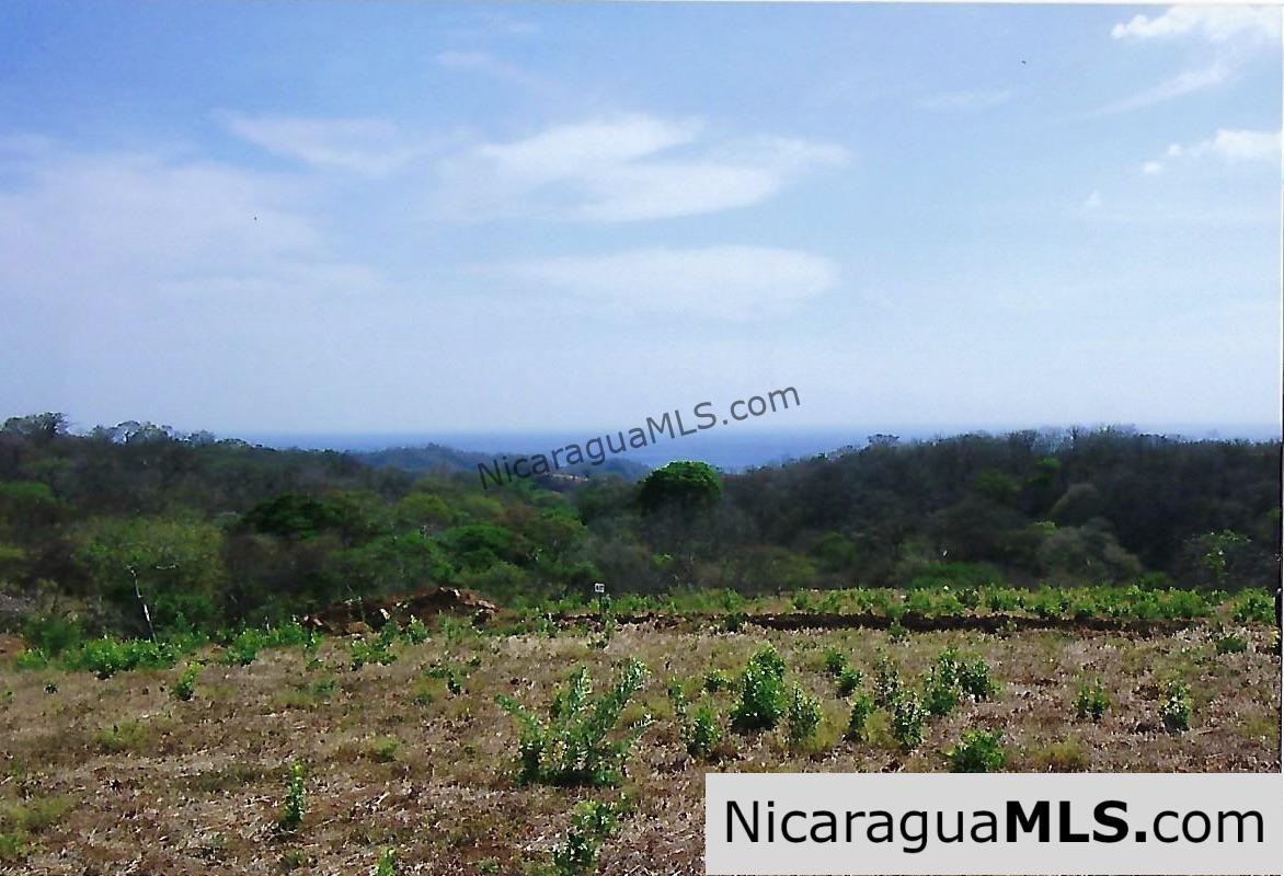 El Encanto Lot A1 for Sale Near TreeCasa - Image 5