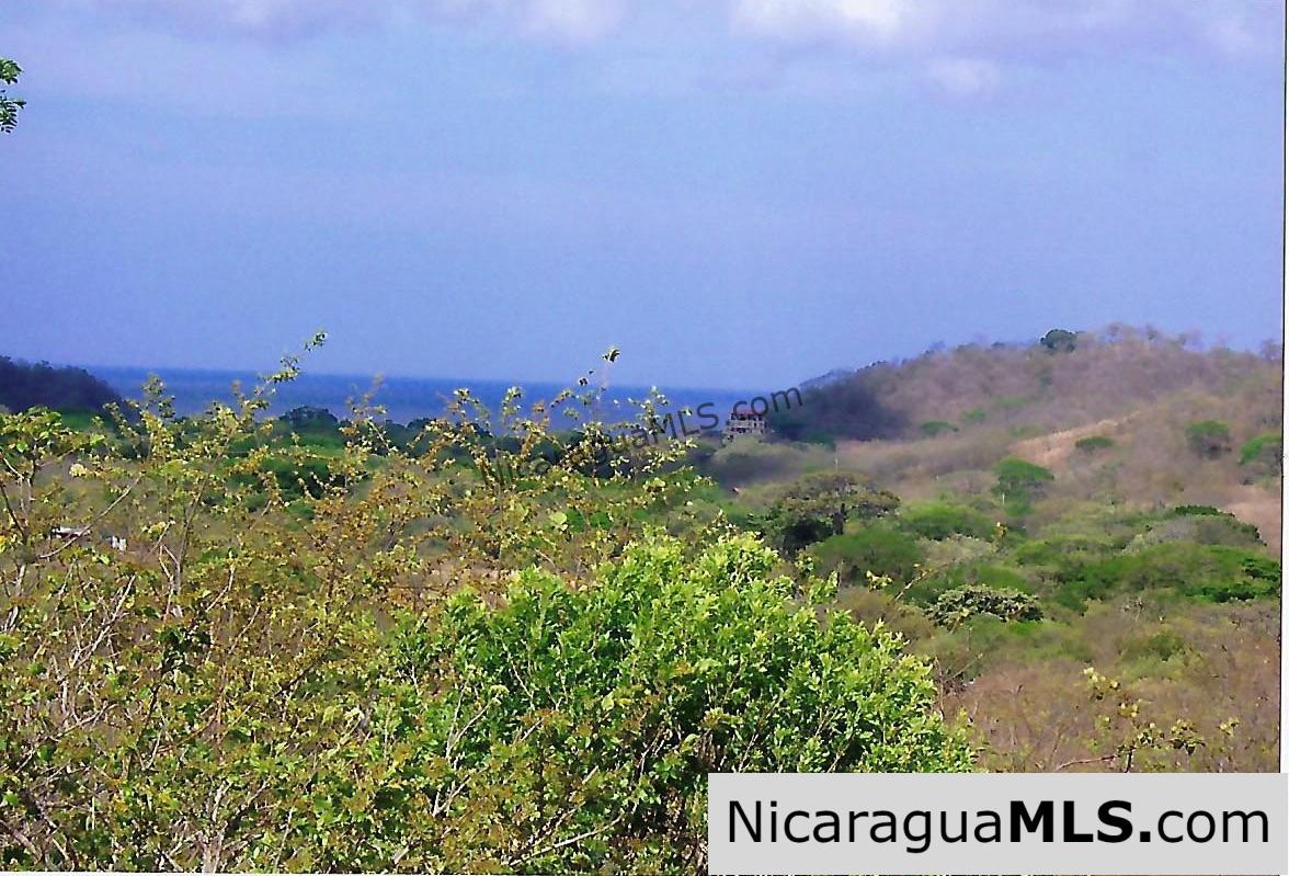 El Encanto Lot A1 for Sale Near TreeCasa - Image 4