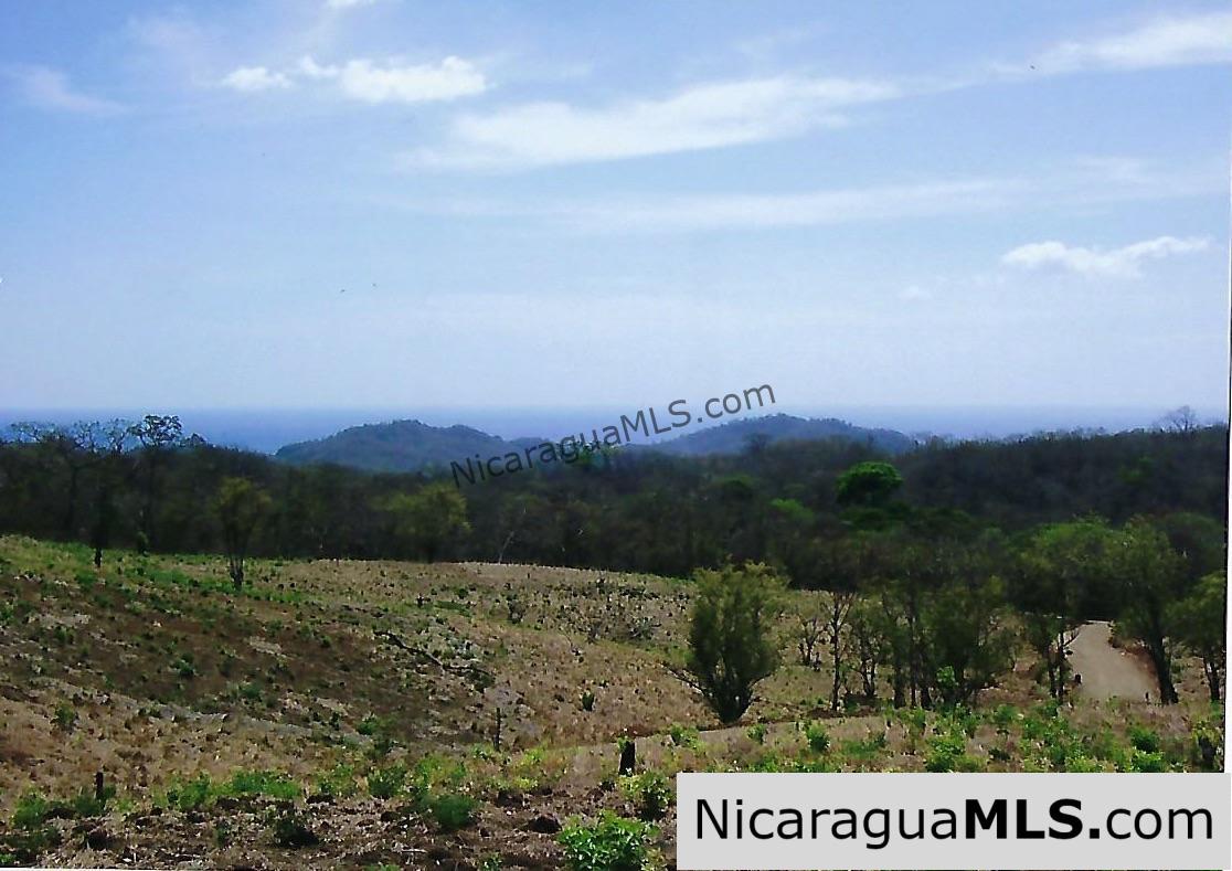El Encanto Lot A1 for Sale Near TreeCasa - Image 2