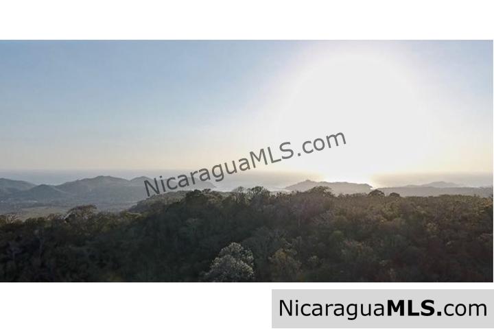 Large Parcels at Finca Las Nubes Organic Farm - Image 4