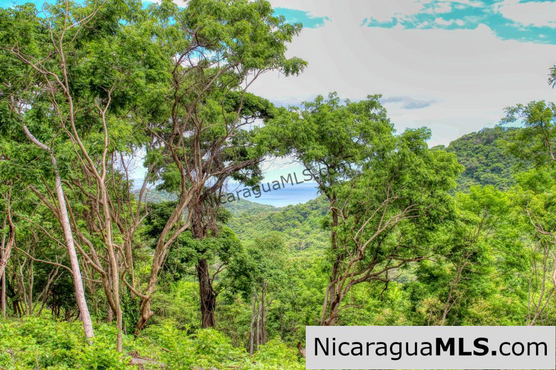 Las Fincas Eco Community 1.7 acres Ocean and Jungle Views