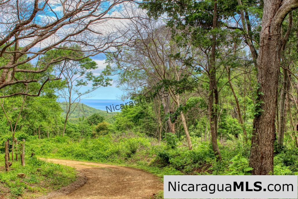 Las Fincas Eco Community 1.7 acres Ocean and Jungle Views - Image 3