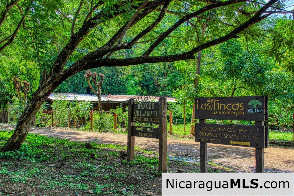 Las Fincas Eco Community 1.7 acres Ocean and Jungle Views - Image 20
