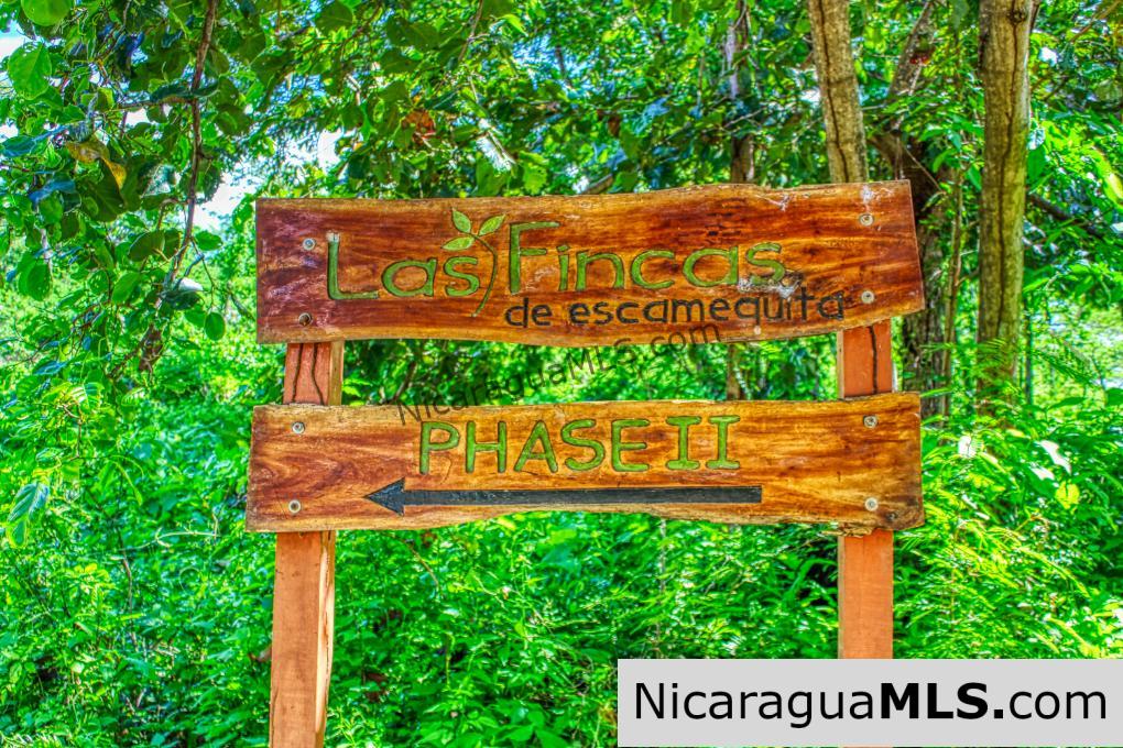 Las Fincas Eco Community 1.7 acres Ocean and Jungle Views - Image 18