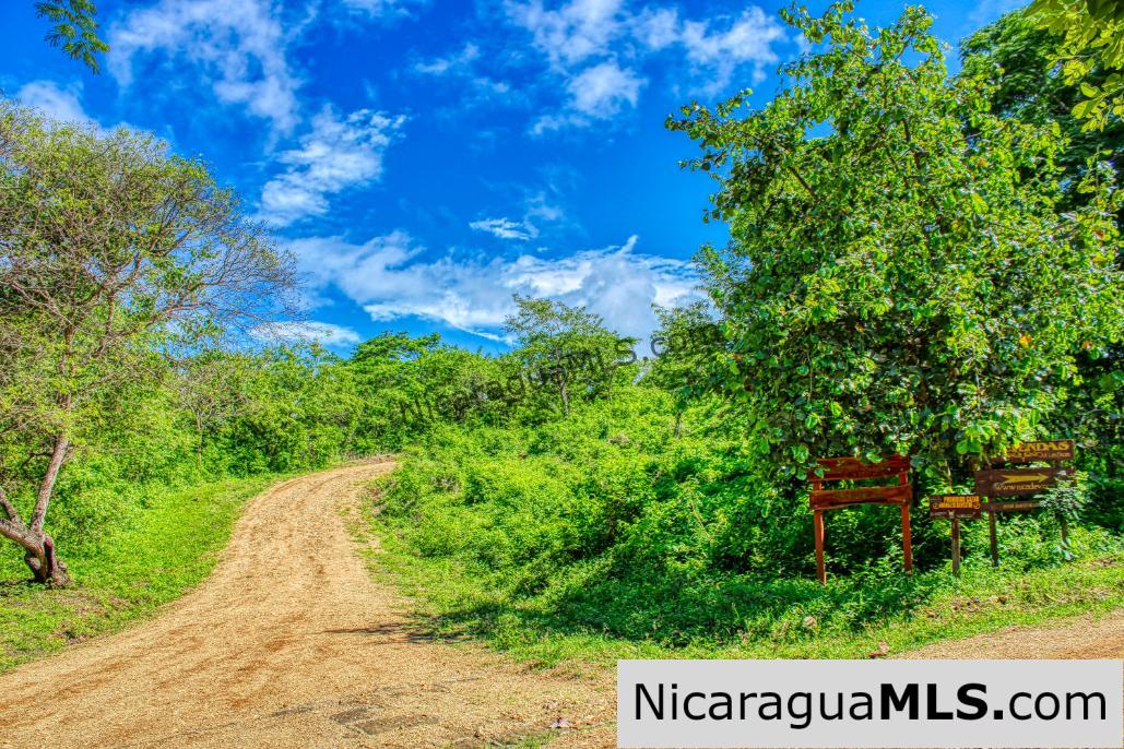 Las Fincas Eco Community 1.7 acres Ocean and Jungle Views - Image 19