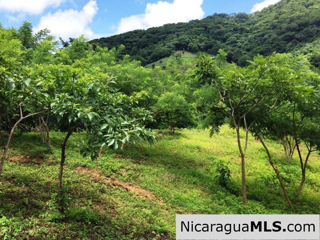 Off Grid Tranquil Paradise Only 20 Minutes North of San Juan del Sur - Image 2