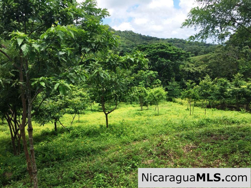 Off Grid Tranquil Paradise Only 20 Minutes North of San Juan del Sur - Image 3