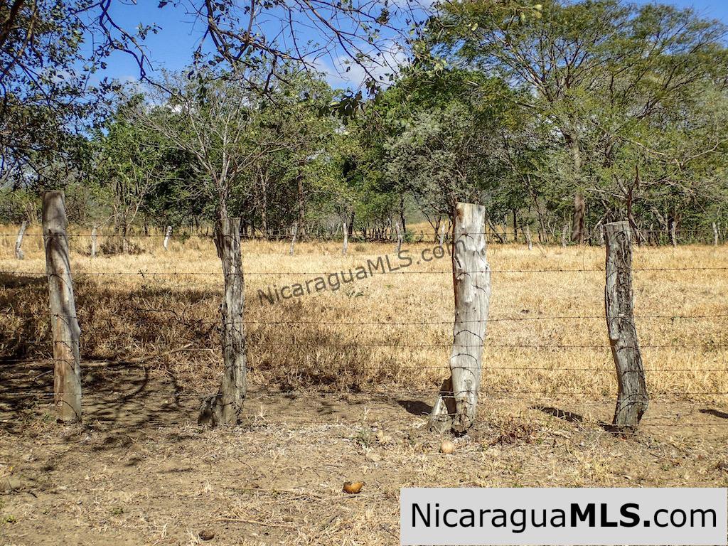 1 Manzana Lot for Sale in front of Surf Ranch - Image 8