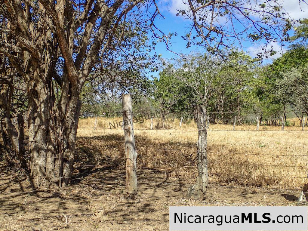 1 Manzana Lot for Sale in front of Surf Ranch - Image 2
