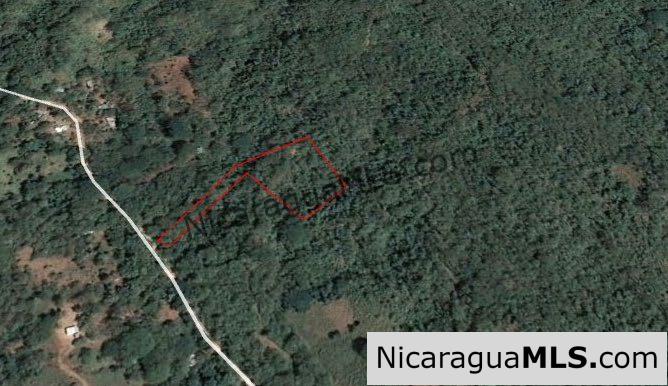Heavily Wooded 9 Manzana Property with Ocean Views - Image 20