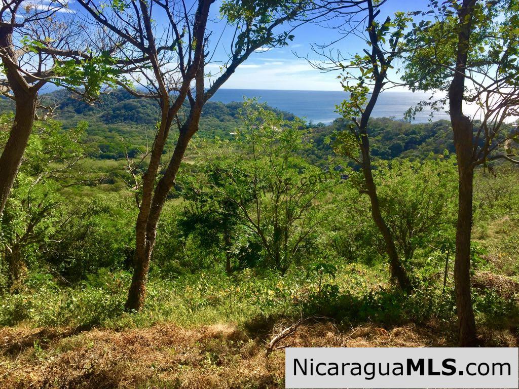 Amazing views of Playa Maderas and Costa Rica - Image 2