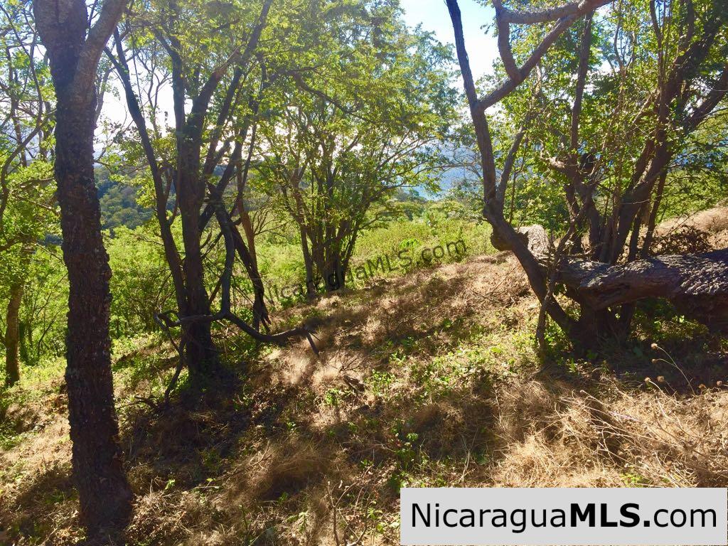 Amazing views of Playa Maderas and Costa Rica - Image 4