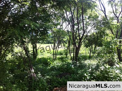 Large Commercial Property at SJDS Town Limits - Image 3