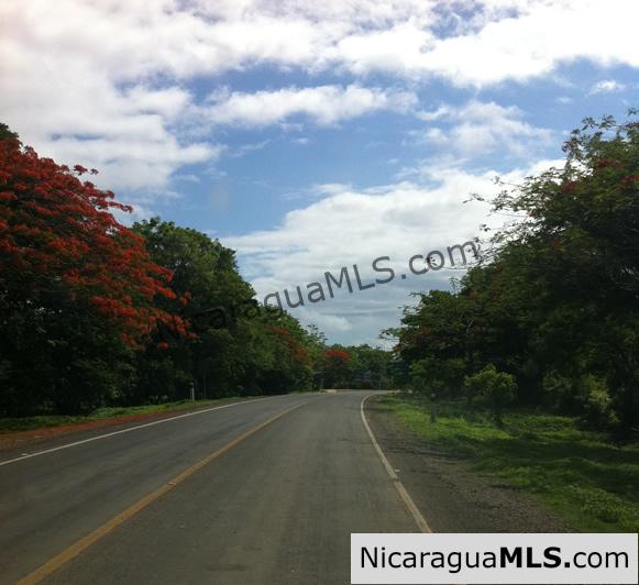 Large Commercial Property at SJDS Town Limits - Image 4