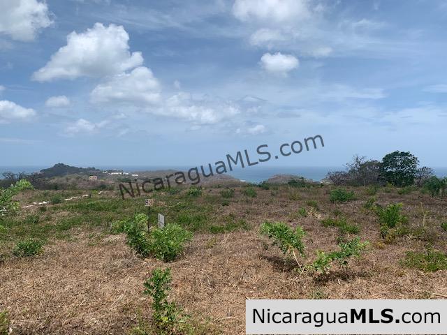 Amazing Ocean Views and Direct Access to Tree Casa Resort - Image 3