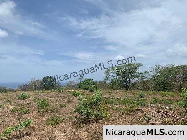 Amazing Ocean Views and Direct Access to Tree Casa Resort - Image 7