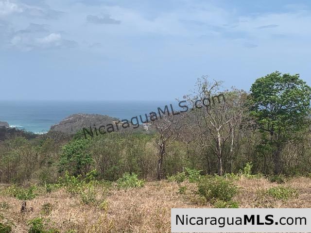 Amazing Ocean Views and Direct Access to Tree Casa Resort - Image 10