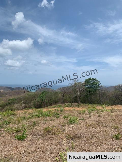 Amazing Ocean Views and Direct Access to Tree Casa Resort - Image 6