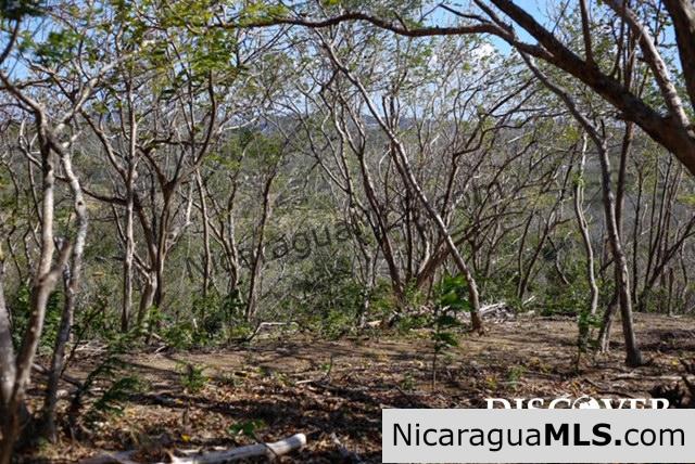 Playa Maderas Bargain 3.1 Acre Property - Image 16