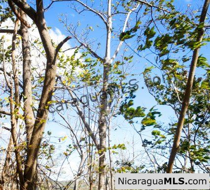Playa Maderas Bargain 3.1 Acre Property - Image 10