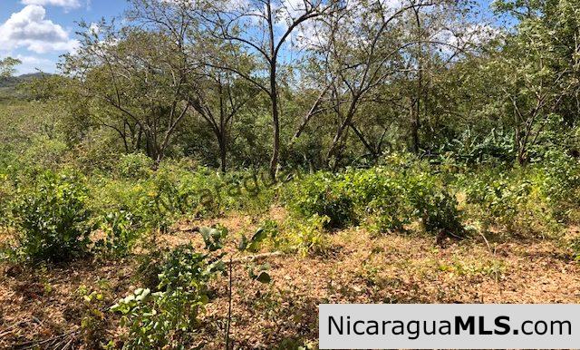 Playa Maderas Bargain 3.1 Acre Property - Image 12