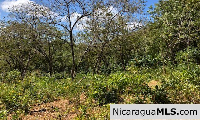Playa Maderas Bargain 3.1 Acre Property - Image 15