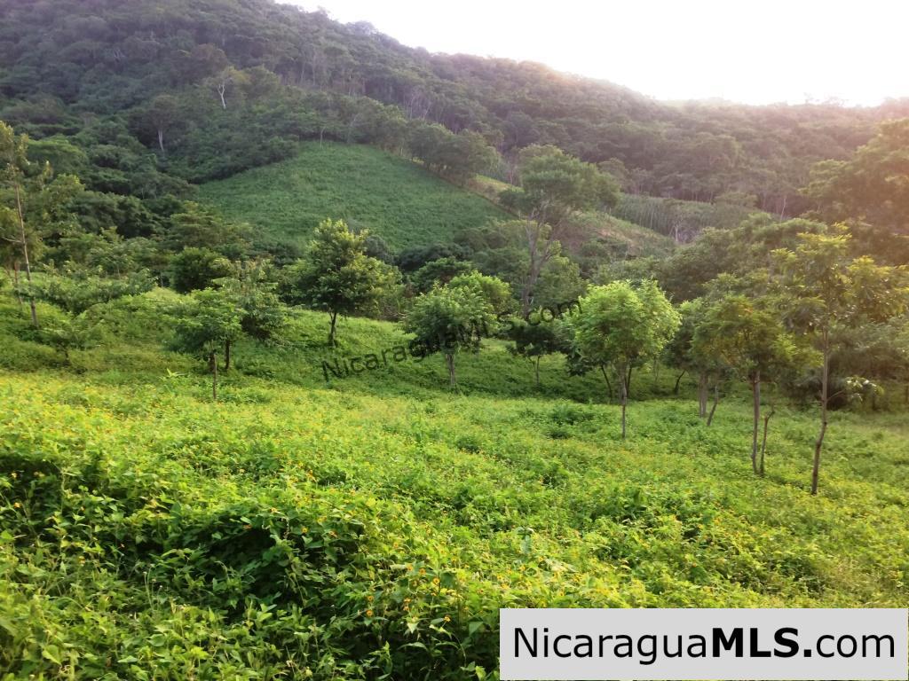 Off Grid Tranquil Paradise Only 20 Minutes North of San Juan del Sur - Image 5