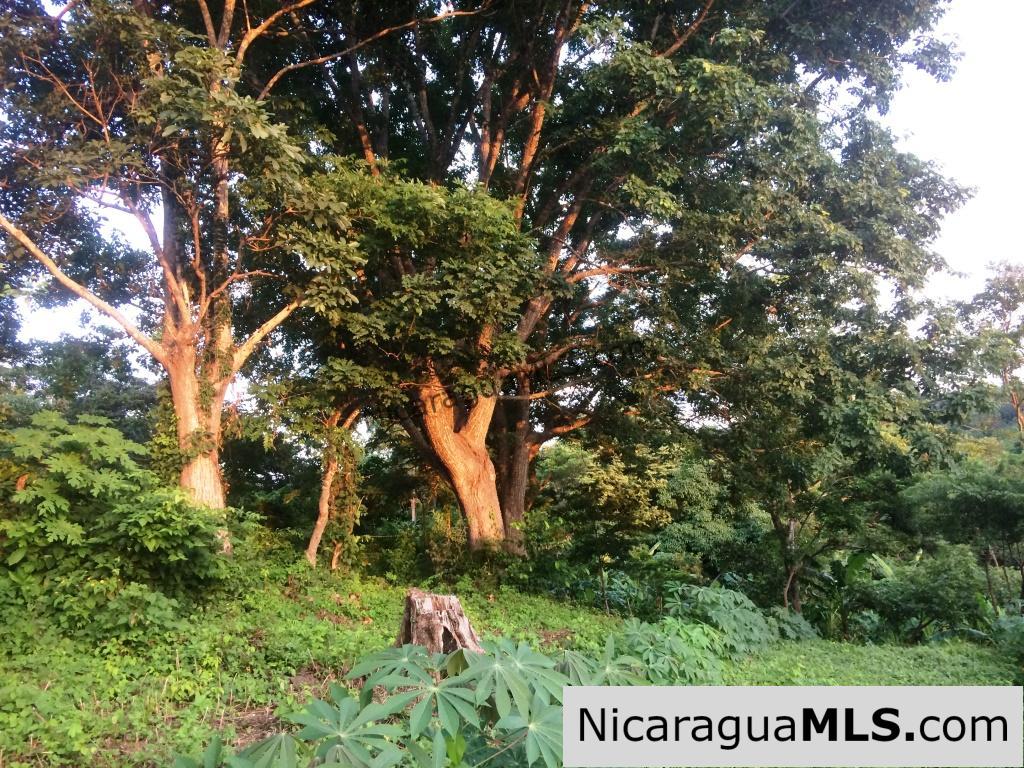 Off Grid Tranquil Paradise Only 20 Minutes North of San Juan del Sur - Image 12