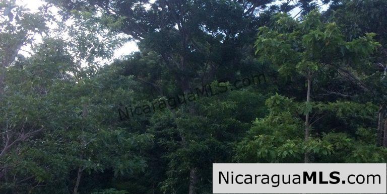 Off Grid Tranquil Paradise Only 20 Minutes North of San Juan del Sur - Image 13
