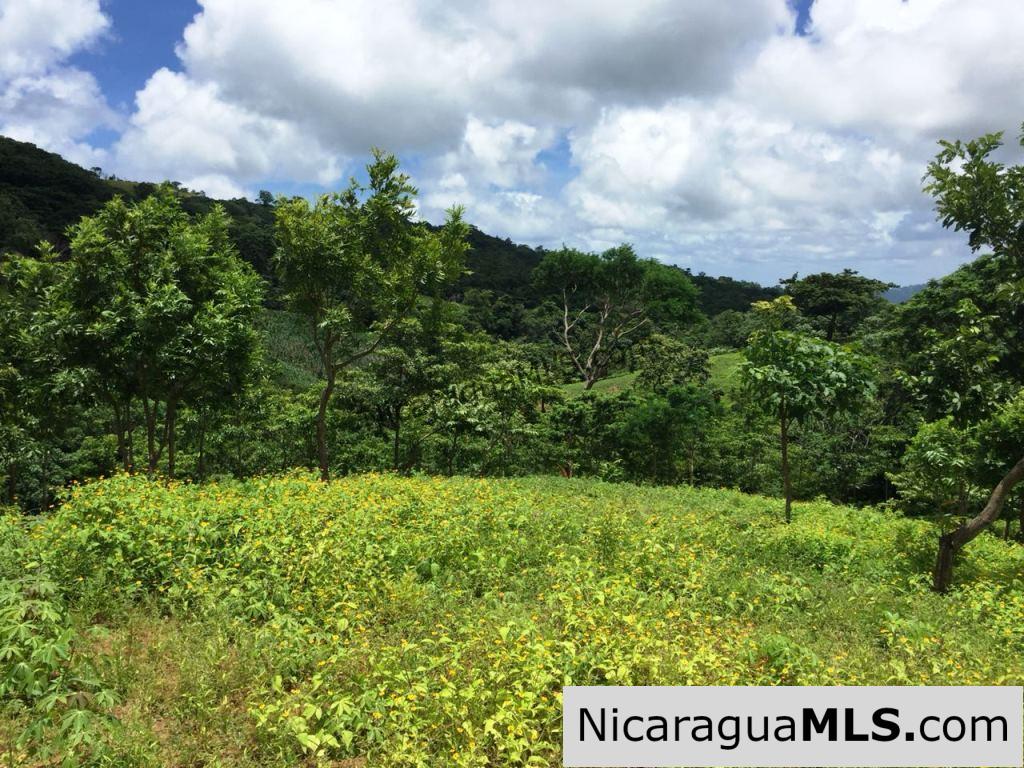 Off Grid Tranquil Paradise Only 20 Minutes North of San Juan del Sur - Image 6