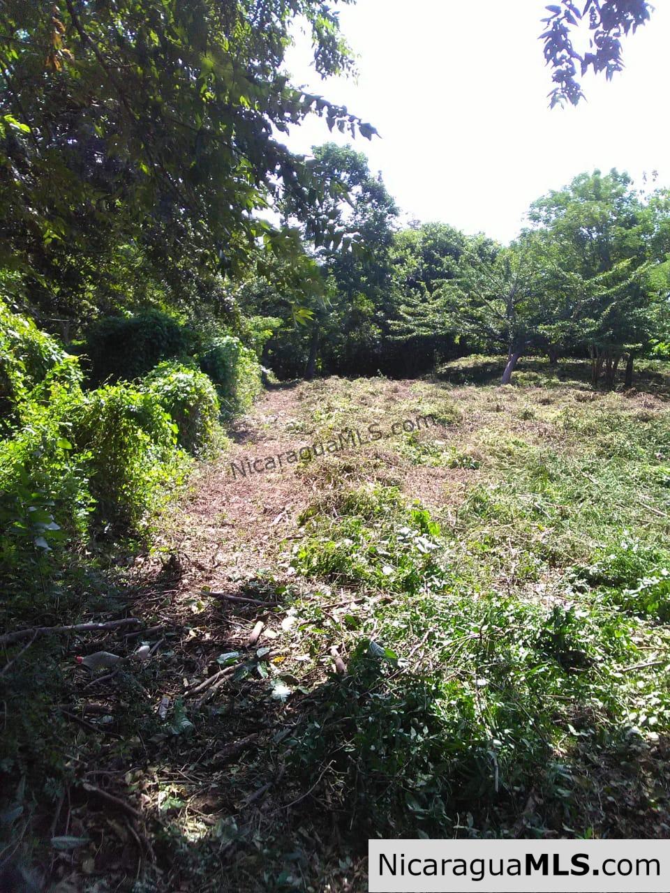 Ocean View Lot 46 for sale in Lomas de Palermo Overlooking SJDS - Image 2