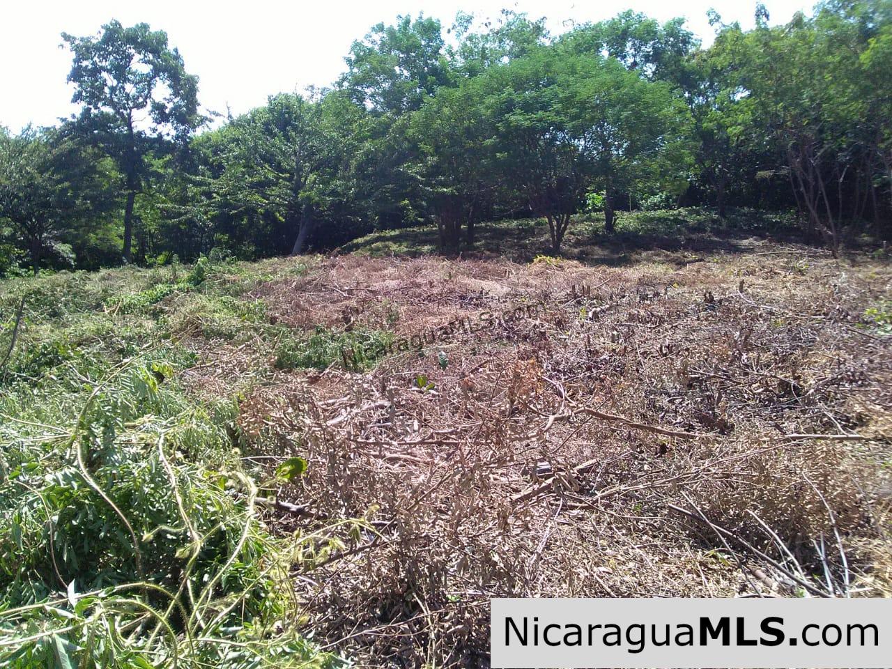 Ocean View Lot 46 for sale in Lomas de Palermo Overlooking SJDS - Image 3