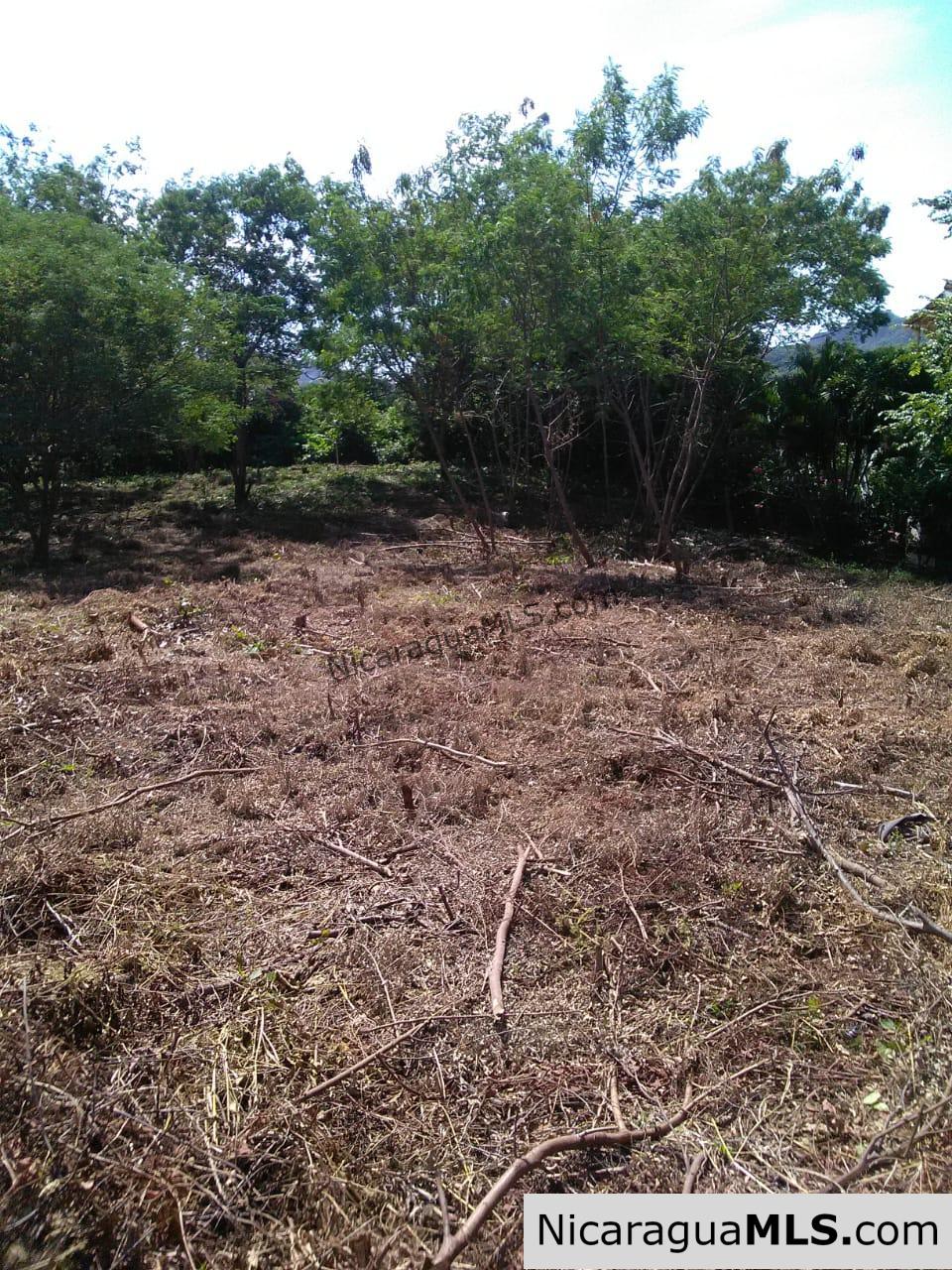 Ocean View Lot 46 for sale in Lomas de Palermo Overlooking SJDS - Image 5