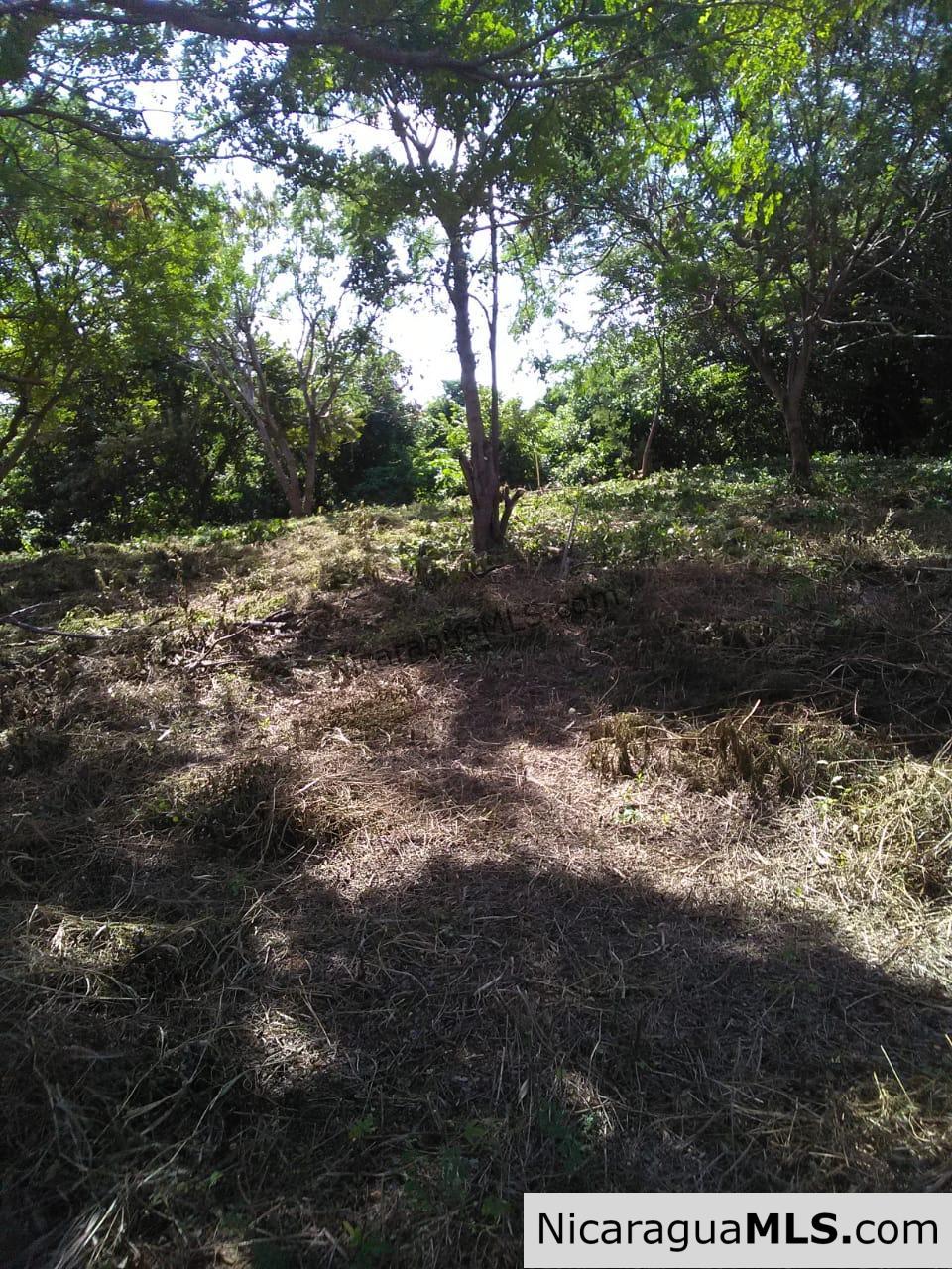 Ocean View Lot 46 for sale in Lomas de Palermo Overlooking SJDS - Image 6