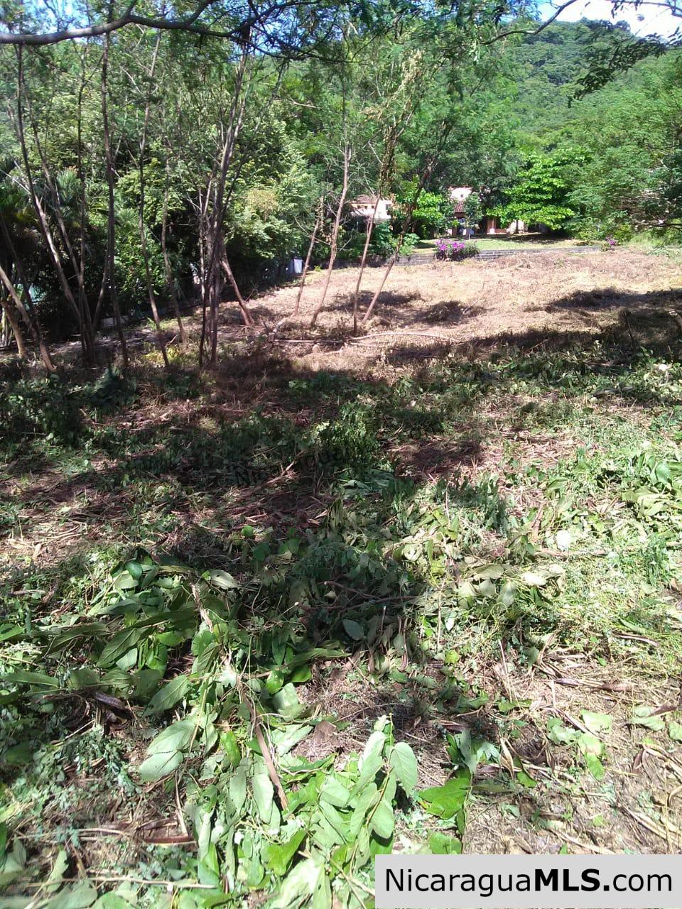 Ocean View Lot 46 for sale in Lomas de Palermo Overlooking SJDS - Image 7