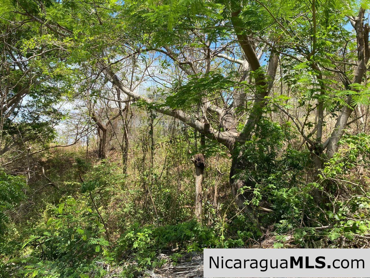 Lot 39 in Lomas de San Juan - Image 6