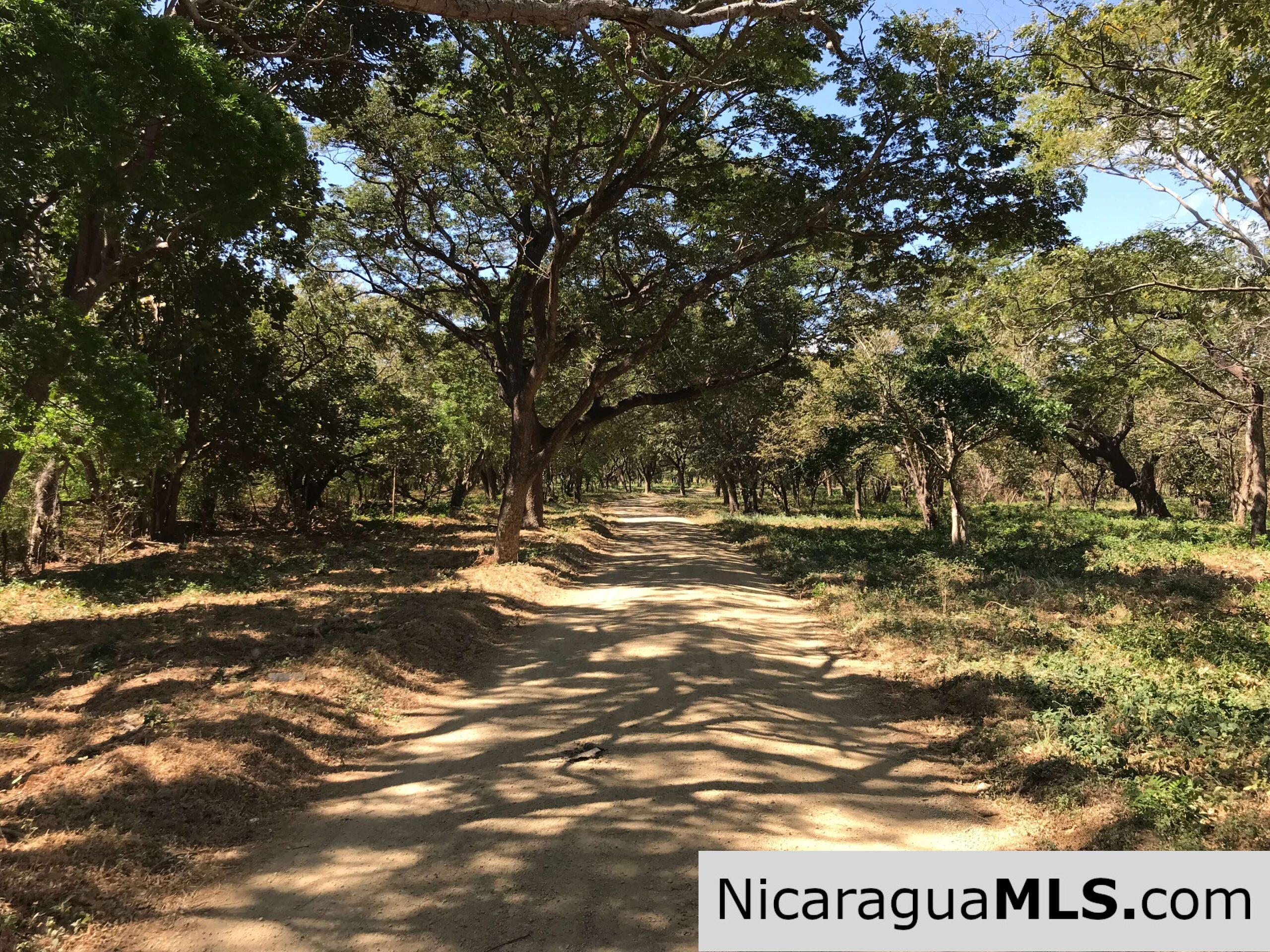 Resale Lot #83 in Bosques del Mar - Image 5