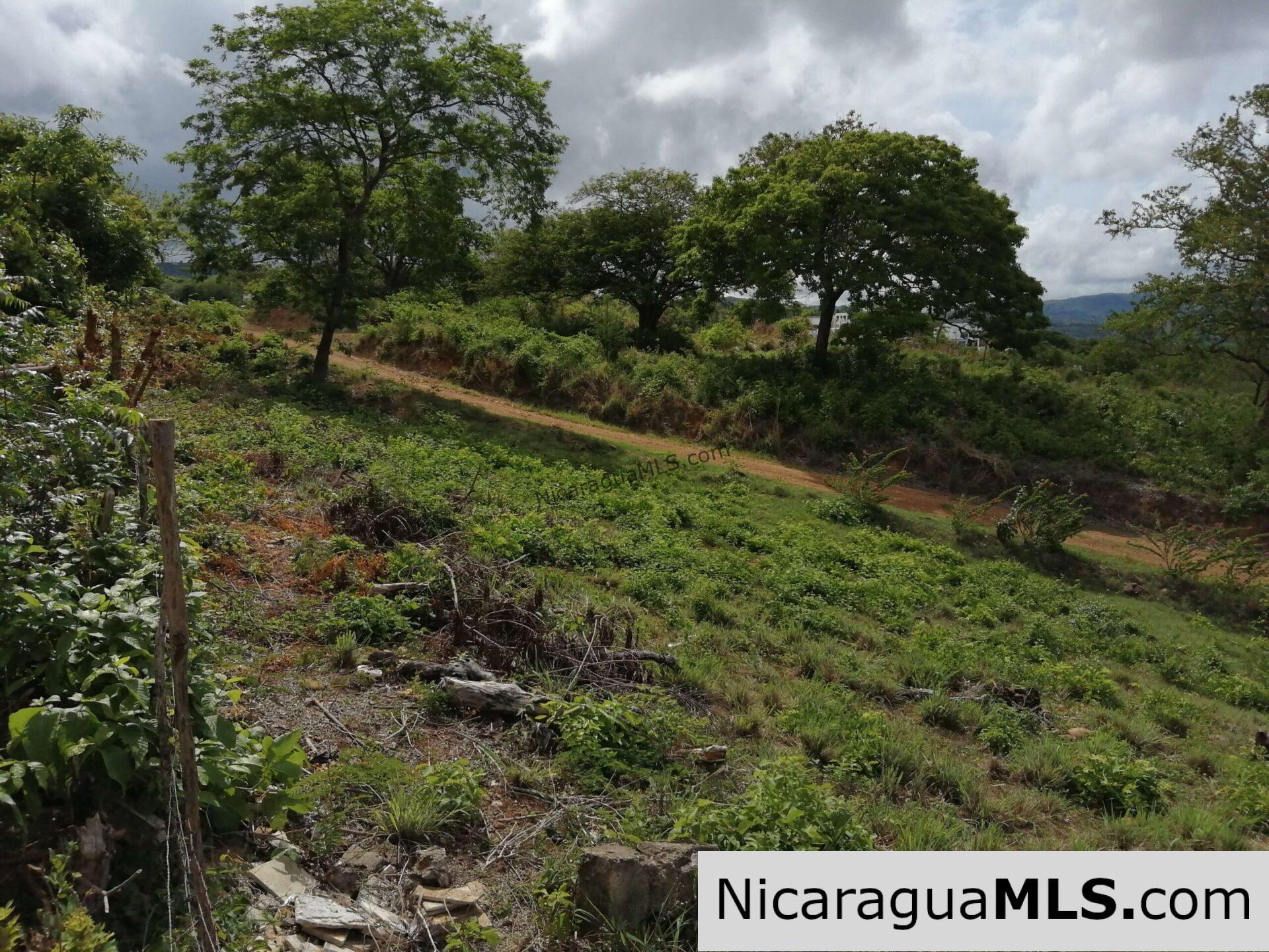 Ocean view lot in Lomas de San Juan - Image 6