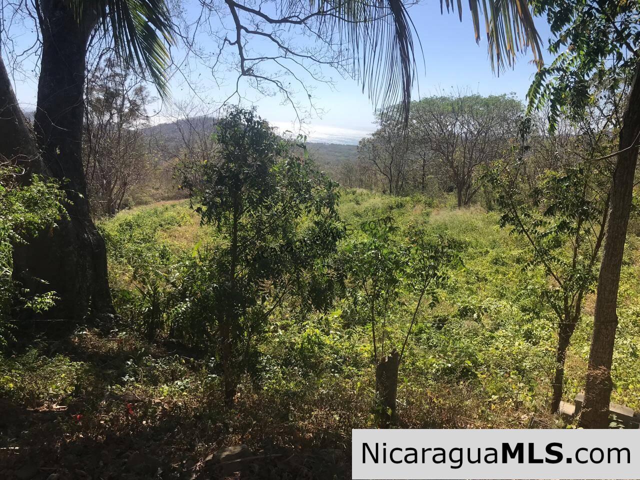 SALE PENDING - 3 Lots for sale in Rancho El Papayal, San Juan del Sur. Panoramic views - Image 5