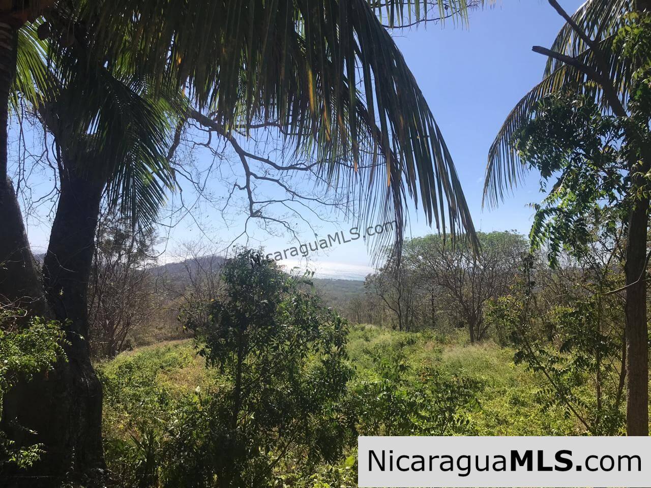 SALE PENDING - 3 Lots for sale in Rancho El Papayal, San Juan del Sur. Panoramic views - Image 6