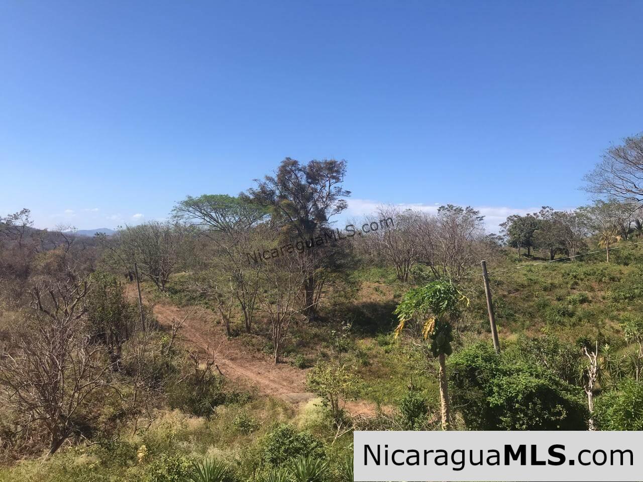 SALE PENDING - 3 Lots for sale in Rancho El Papayal, San Juan del Sur. Panoramic views - Image 7