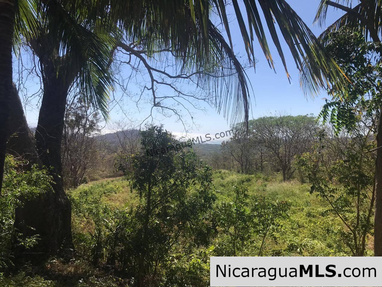SALE PENDING - 3 Lots for sale in Rancho El Papayal, San Juan del Sur. Panoramic views - Image 2