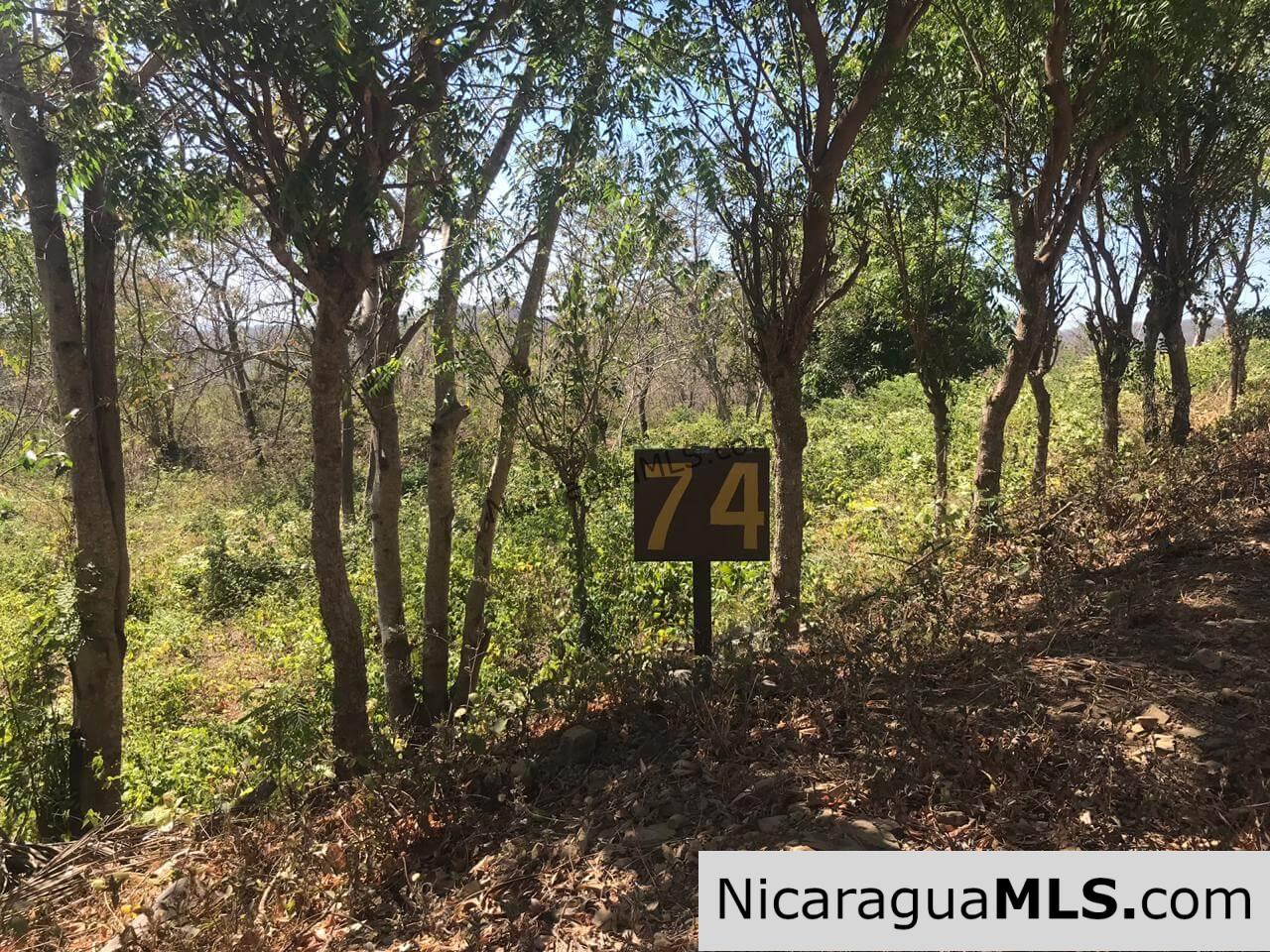 SALE PENDING - 3 Lots for sale in Rancho El Papayal, San Juan del Sur. Panoramic views - Image 3